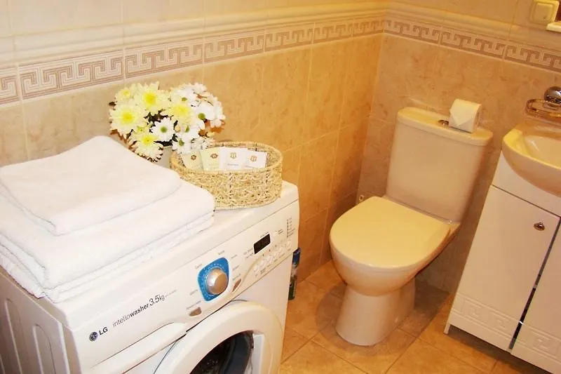 Alex Apartments On Puskinskaya-Chikalenko New Name Kyiv