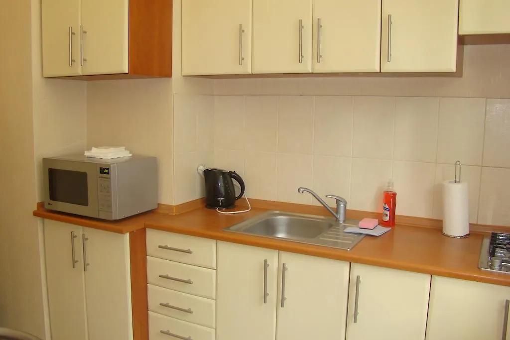 Alex Apartments On Puskinskaya-Chikalenko New Name كييف